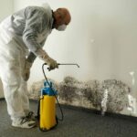 Mold-Remediation